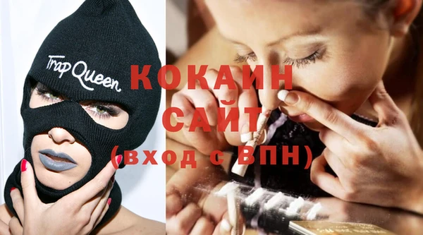 стафф Алексин