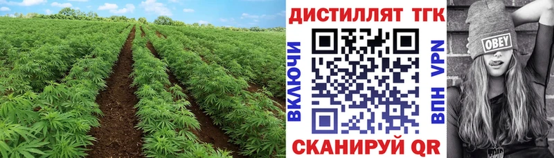 ТГК гашишное масло  Пугачёв 