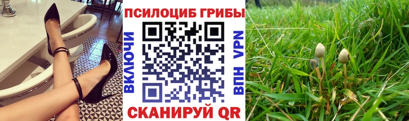 Псилоцибиновые грибы MAGIC MUSHROOMS Пугачёв